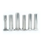 304 316 Embedded Bolt Eye